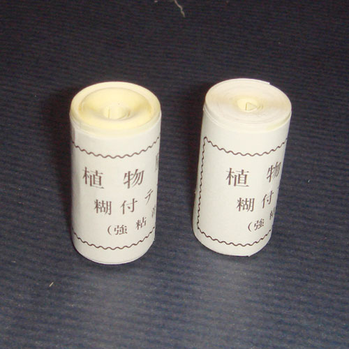 昆虫採集、用品、用具｜糊付テープ 1巻 3cm×75cm